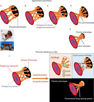 Perspective to precision medicine in scleroderma